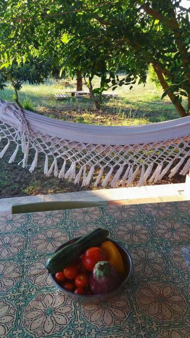 Country House Tra Lago E Mare A Sud Di Roma Villa Campoleone Bagian luar foto